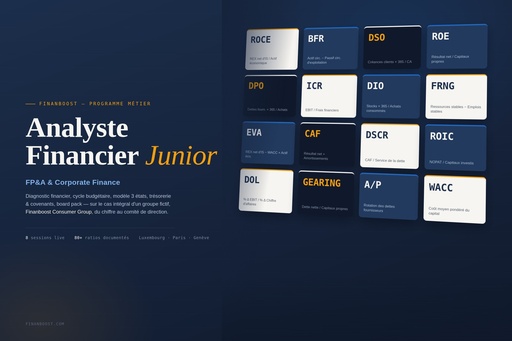 Analyste financier junior